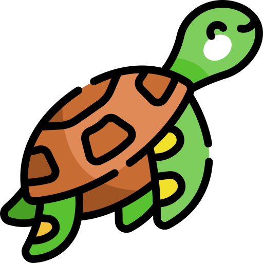 tortuga