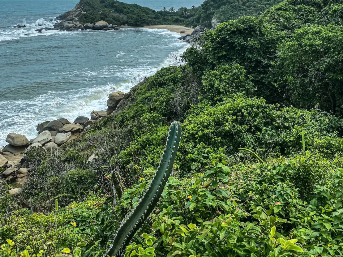 viaje organizado a colombia