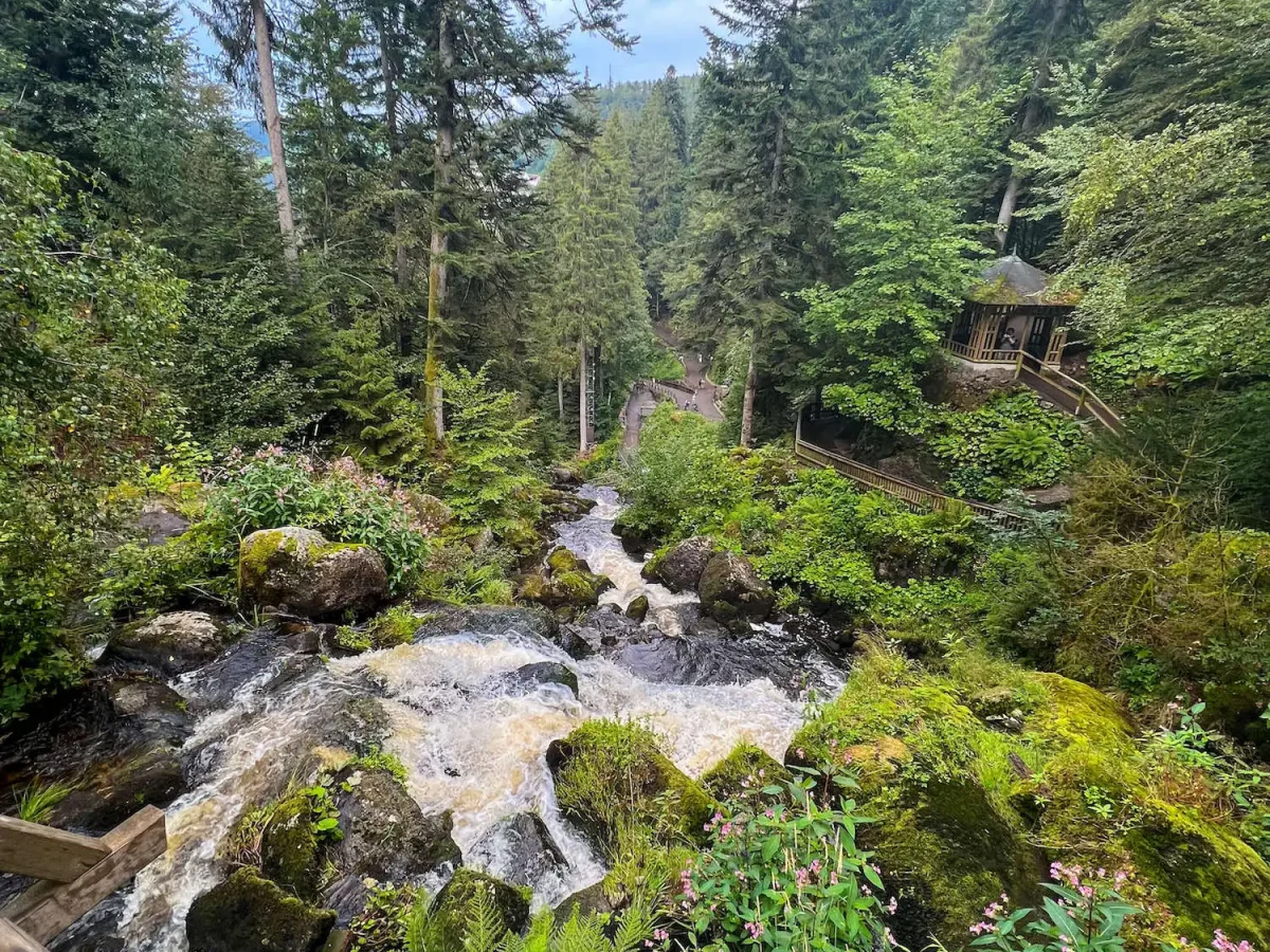 selva negra viajes