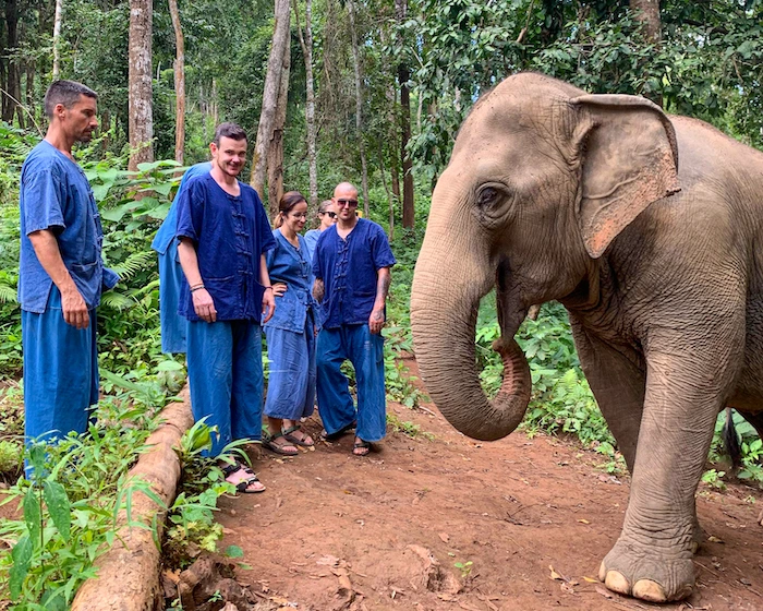 viajar a tailandia santuario de elefantes