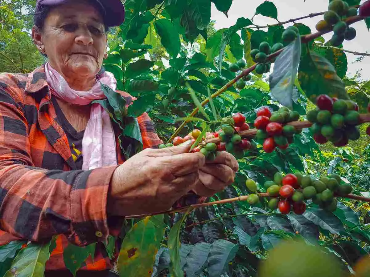 Sitios que ver en el Eje Cafetero