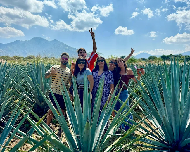 viajar a tequila mexico