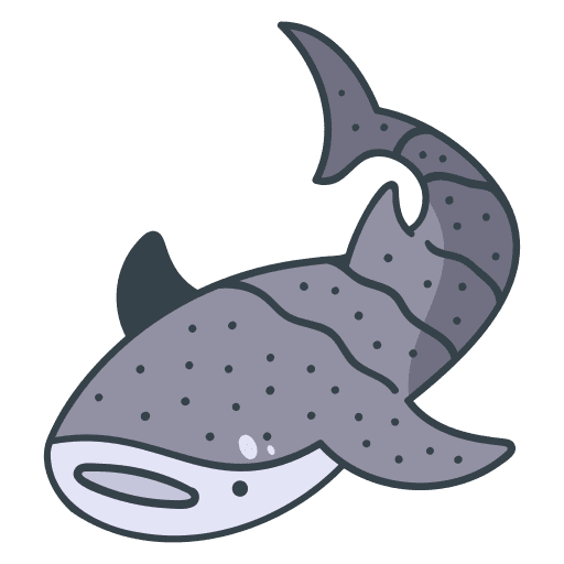 tiburon ballena