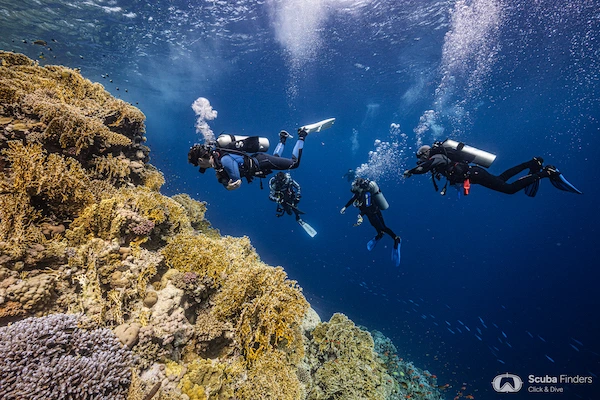 consejos de buceo en maldivas