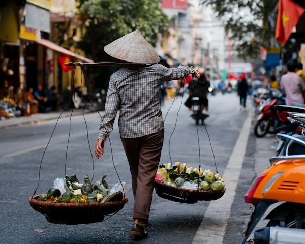 Mejores experiencias Vietnam