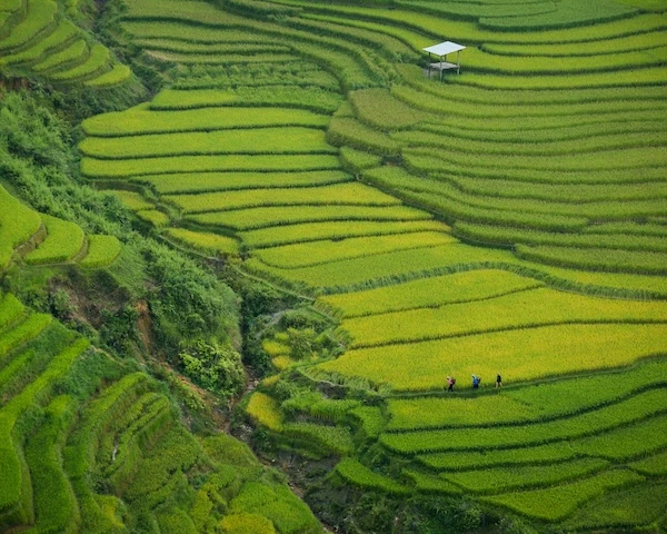 Sapa Vietnam