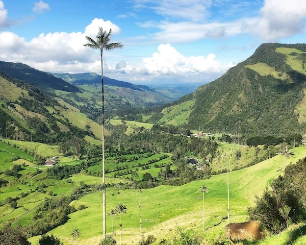 Itinerario Eje Cafetero Colombia