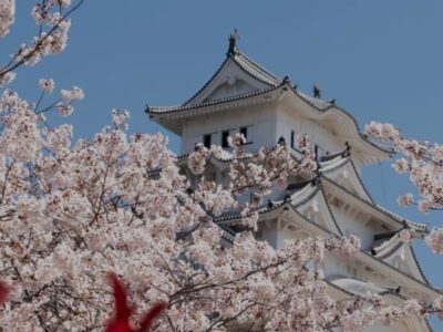 <span class="orderby">20270320</span>Japón Sakura | Especial SEMANA SANTA