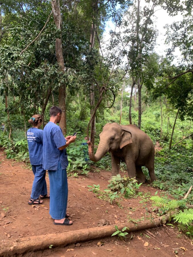selva-tailandia