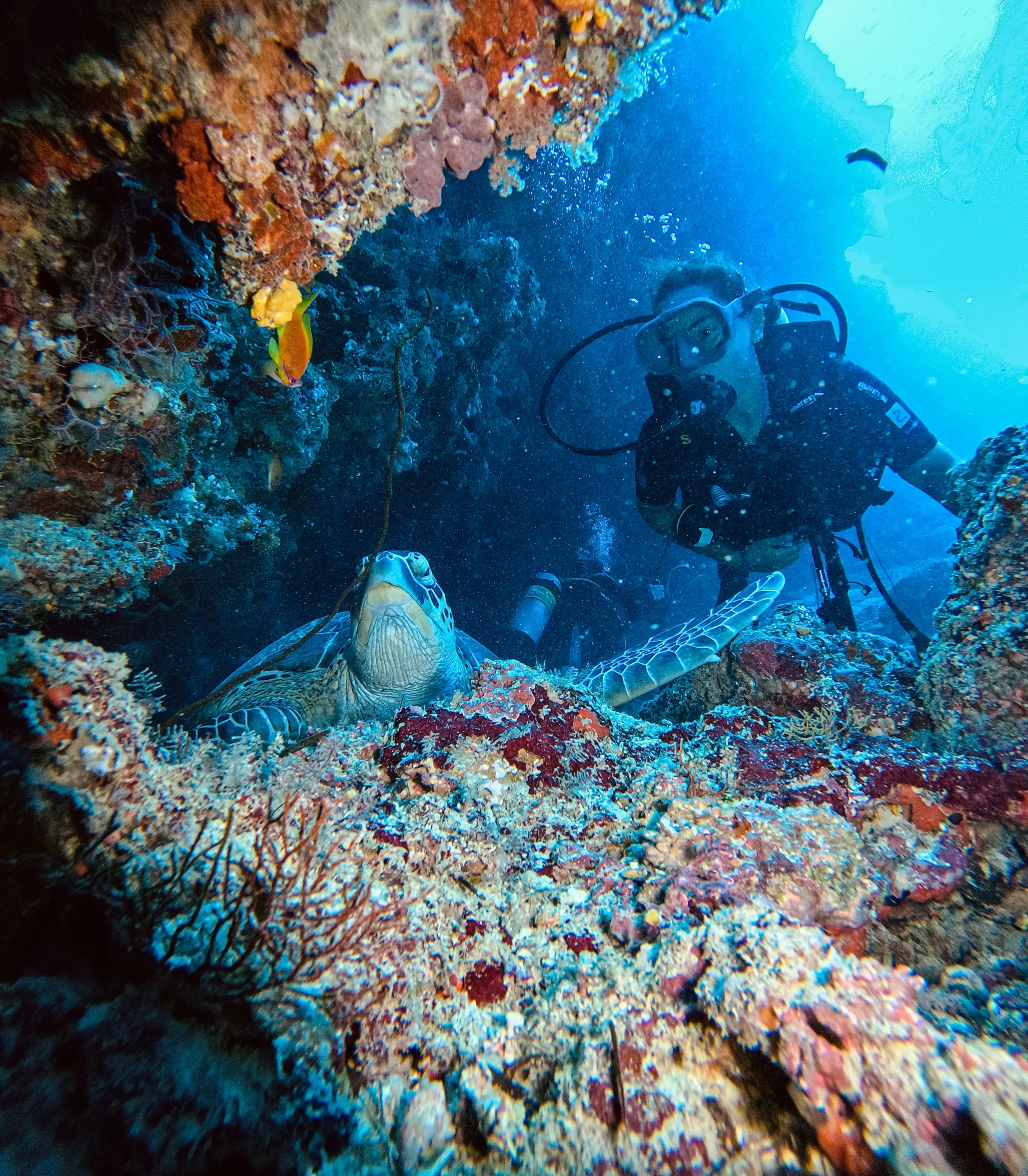 Buceo Raja Ampat norte
