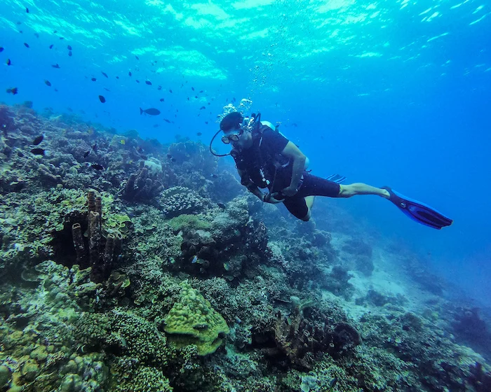 Snorkel en Raja Ampat