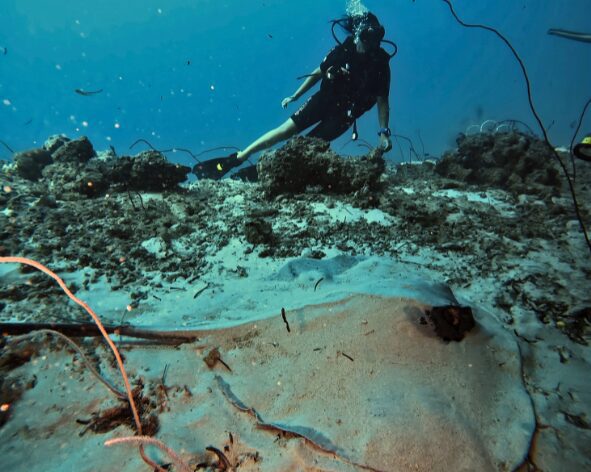 viajes de buceo en indonesia
