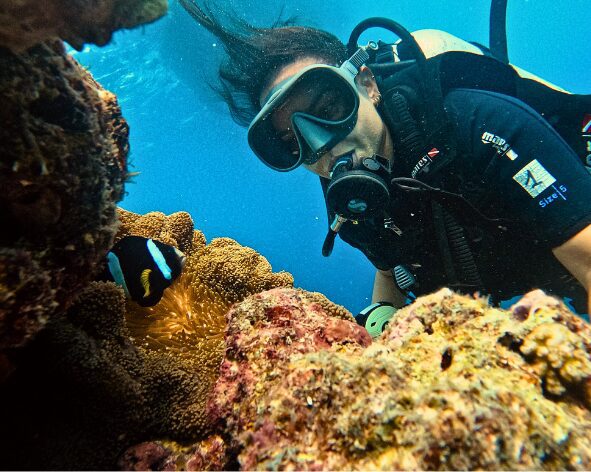 viajes de buceo en maldivas